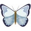 MAIFER818