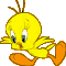 POLLITO33